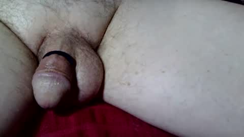 seeus24 online show from 10.06.25