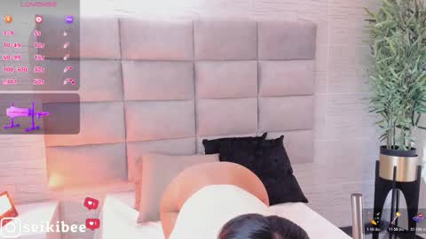 Snapshot of seikibee chatting on 02.21.26 seikibee online show from 02.21.26