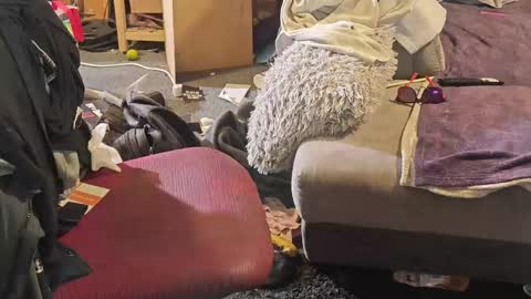 Snapshot of selfsuck_master69 chatting on 04.08.26 BiG DicK online show from 04.08.26