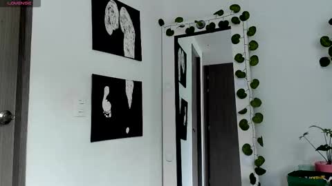 Selyn online show from 02.13.26