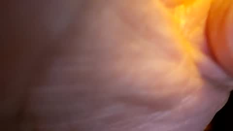 senor49509 online show from 11.27.25