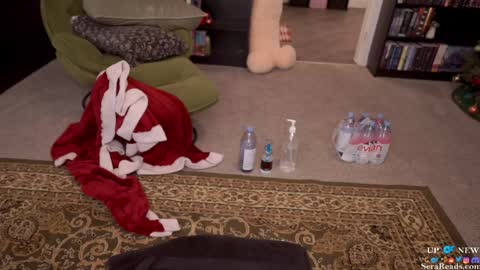 Snapshot of serareads chatting on 12.16.24 SeraReads online show from 12.16.24