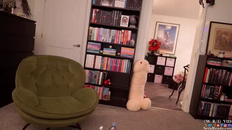 Snapshot of serareads chatting on 01.06.25 SeraReads online show from 01.06.25