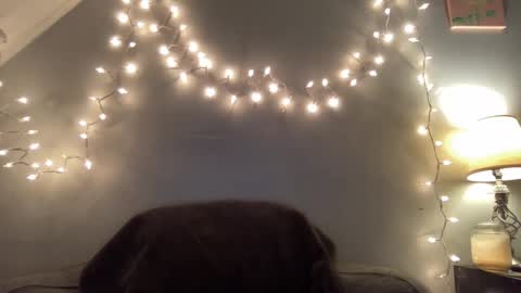 Seroc online show from 03.09.25