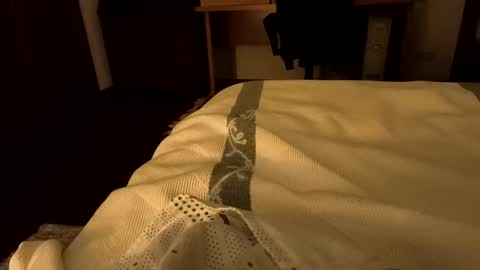 sevenorder online show from 01.20.25