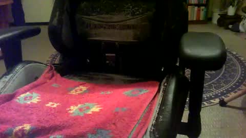 Snapshot of severeadversity chatting on 12.29.24 severeadversity online show from 12.29.24