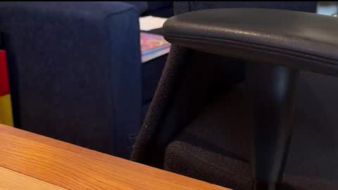 sexebitionist online show from 11.20.25