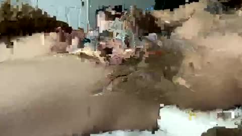 seximexibbc online show from 01.11.25