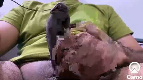 Snapshot of sexmachine4ubabes chatting on 12.09.24 sexmachine4ubabes online show from 12.09.24