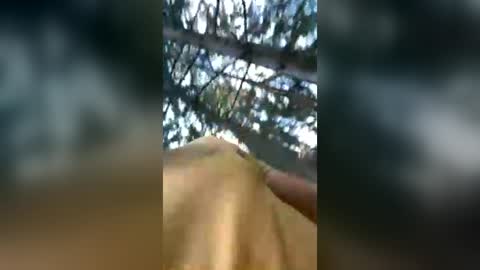 sexualman1900 online show from 06.27.26