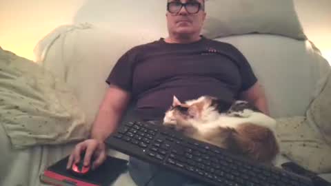 Sexurbation online show from 11.17.25