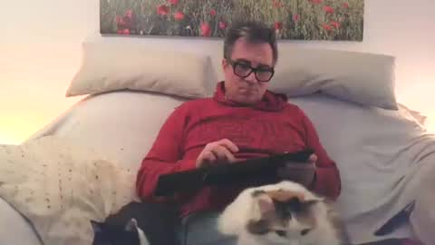 Sexurbation online show from 02.24.26