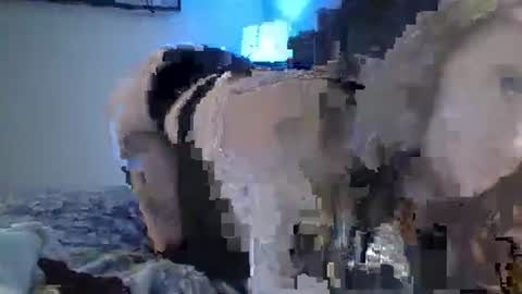 Snapshot of sexxileeah chatting on 01.25.25 sexxileeah online show from 01.25.25