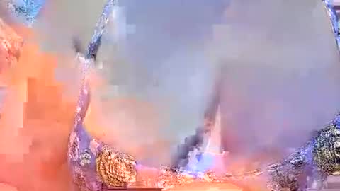 misslovely j online show from 03.02.25