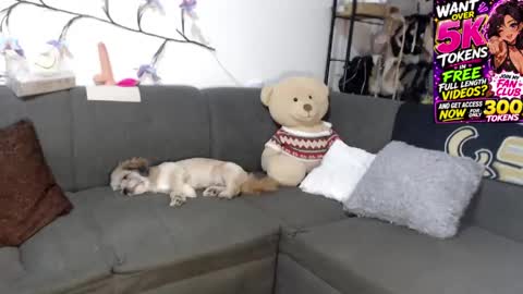 Sexy Ginuin Couple online show from 06.02.26