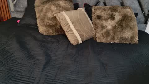 Dafne online show from 04.06.26