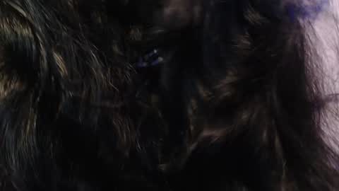 Snapshot of sexy_impact chatting on 01.15.25    online show from 01.15.25