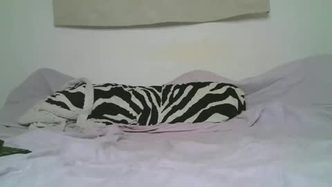 Ithan  Joel online show from 11.29.25