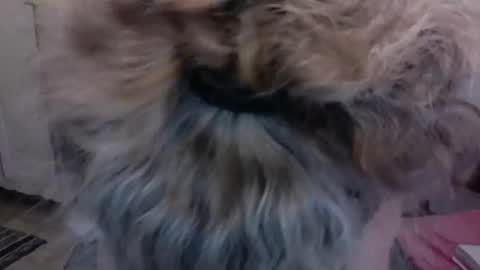 Snapshot of sexyfit58 chatting on 12.15.24 SexyFit58 online show from 12.15.24