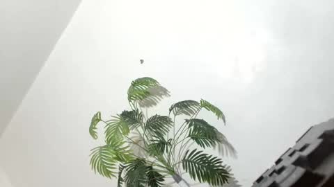 Snapshot of sexyhotbabe18 chatting on 03.07.26 sexyhotbabe18 online show from 03.07.26