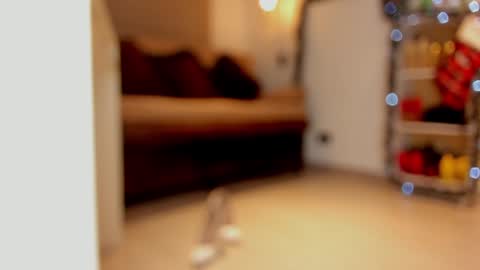 Snapshot of sexykata_s chatting on 12.29.24 katalina larson online show from 12.29.24