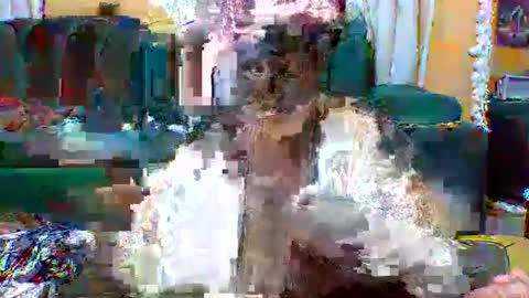 sexylo52 online show from 05.13.26