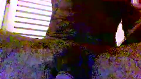 Snapshot of sexynudistdaddycockm chatting on 11.24.25 sexynudistdaddycockm online show from 11.24.25