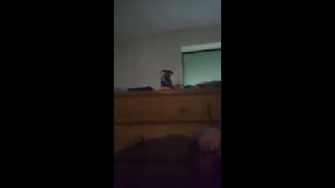 sgtbrown01 online show from 04.23.26