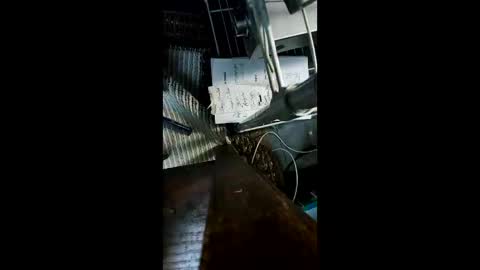 shagz2much online show from 12.22.24