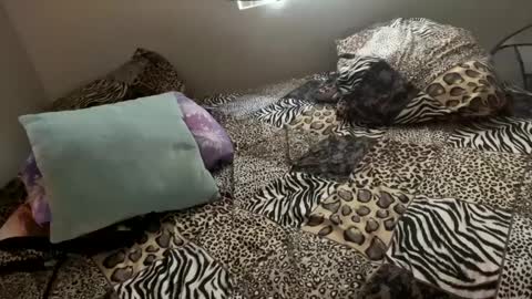 Shaman Woman online show from 12.06.24