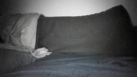 Snapshot of shamefullyshort chatting on 12.17.25 Shorty online show from 12.17.25