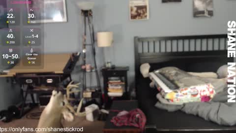 shanestickrod online show from 11.18.25