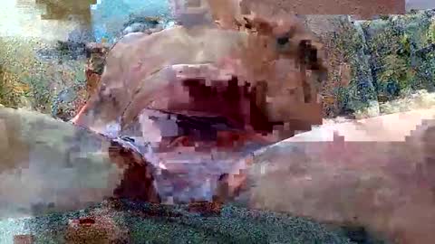 excelo21 online show from 10.26.25