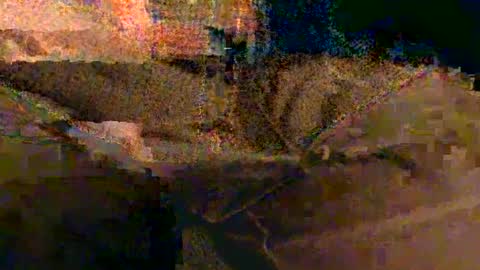 Snapshot of shapelyhelm1 chatting on 02.14.25 shapelyhelm1 online show from 02.14.25