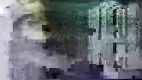 Shashee870242 online show from 02.14.25