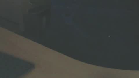 Frans online show from 02.14.25