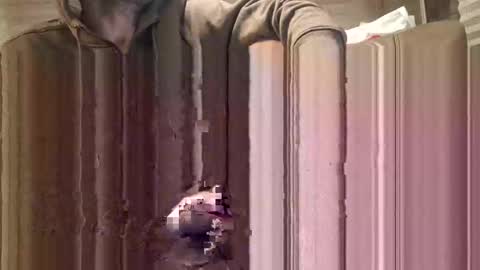 Snapshot of shavedcock720 chatting on 12.29.24 partycouple2night online show from 12.29.24