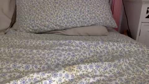 shavednsw online show from 03.28.26