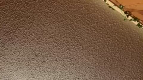 shaytin0 online show from 12.20.25