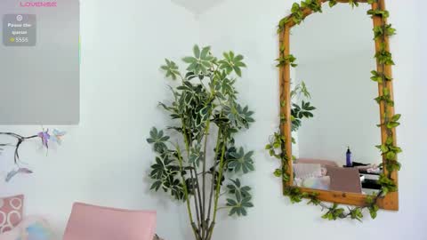 Shego  online show from 11.26.25