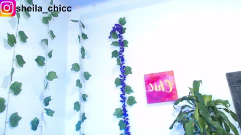 Snapshot of sheila_bigcok chatting on 12.09.24 SHEILA  online show from 12.09.24