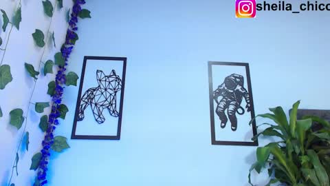 Snapshot of sheila_bigcok chatting on 02.26.25 SHEILA  online show from 02.26.25