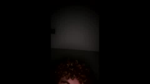 Snapshot of sheloveslaine chatting on 12.15.25 sheloveslaine online show from 12.15.25