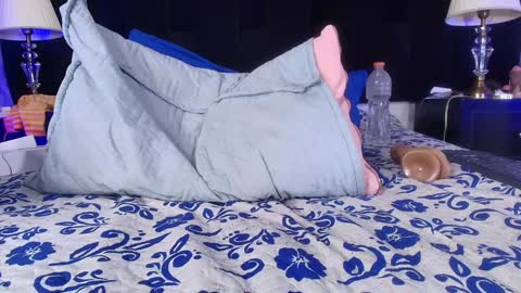 Shelsy online show from 02.08.25