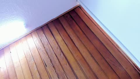 mia online show from 01.08.25