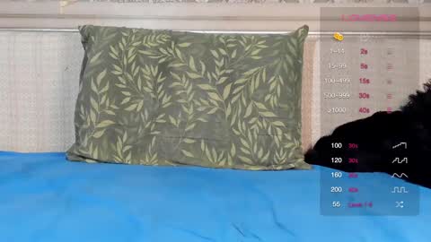 Oleg online show from 03.01.25