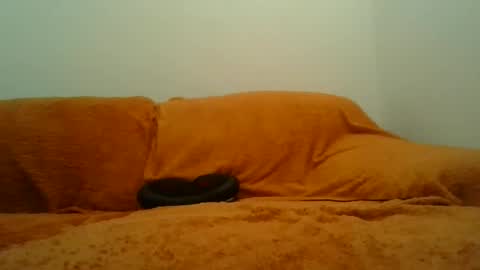 showherenow online show from 03.08.26