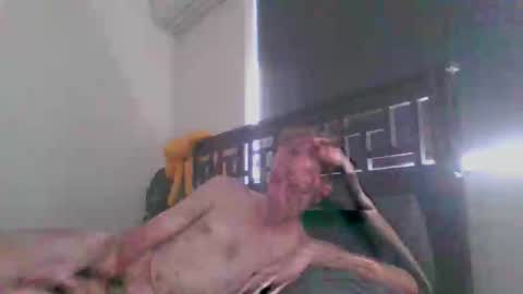 JustAbitCheeky online show from 12.20.25