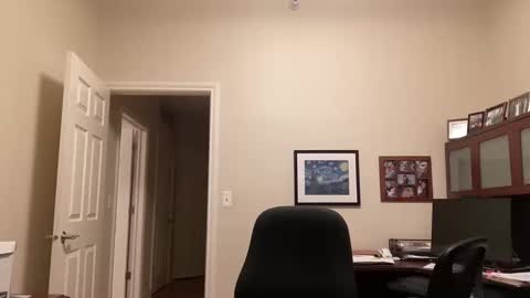 Snapshot of showmet chatting on 02.16.25 Chicago Guy online show from 02.16.25