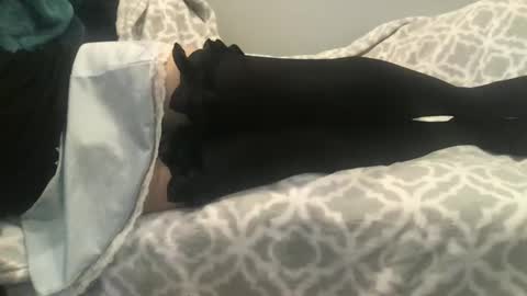 shysissy12 online show from 09.28.25